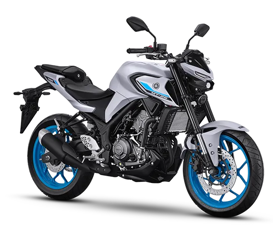MT-25 Metallic Light Grey
